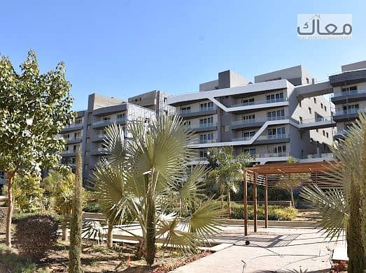 12 WhatsApp Image 2025-07-13 at 2.19. 31 PM. jpeg