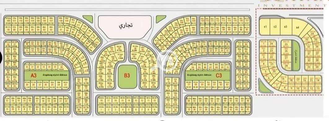 2 FB_IMG_1727937711129. jpg