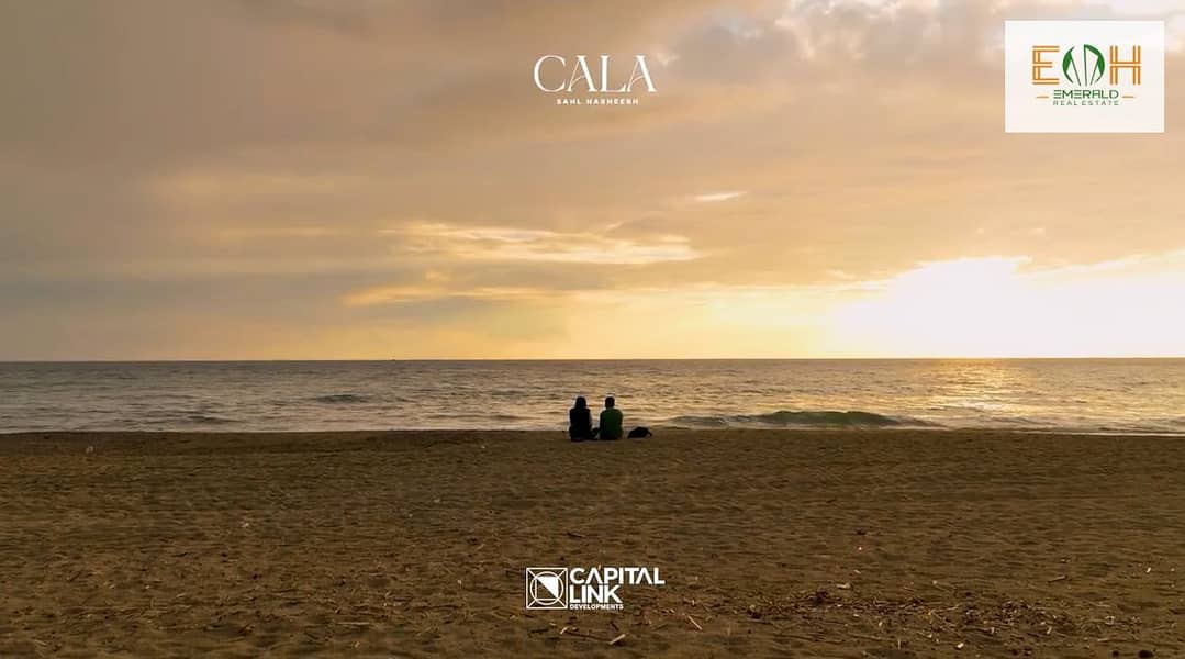 17 Screenshot (241). png