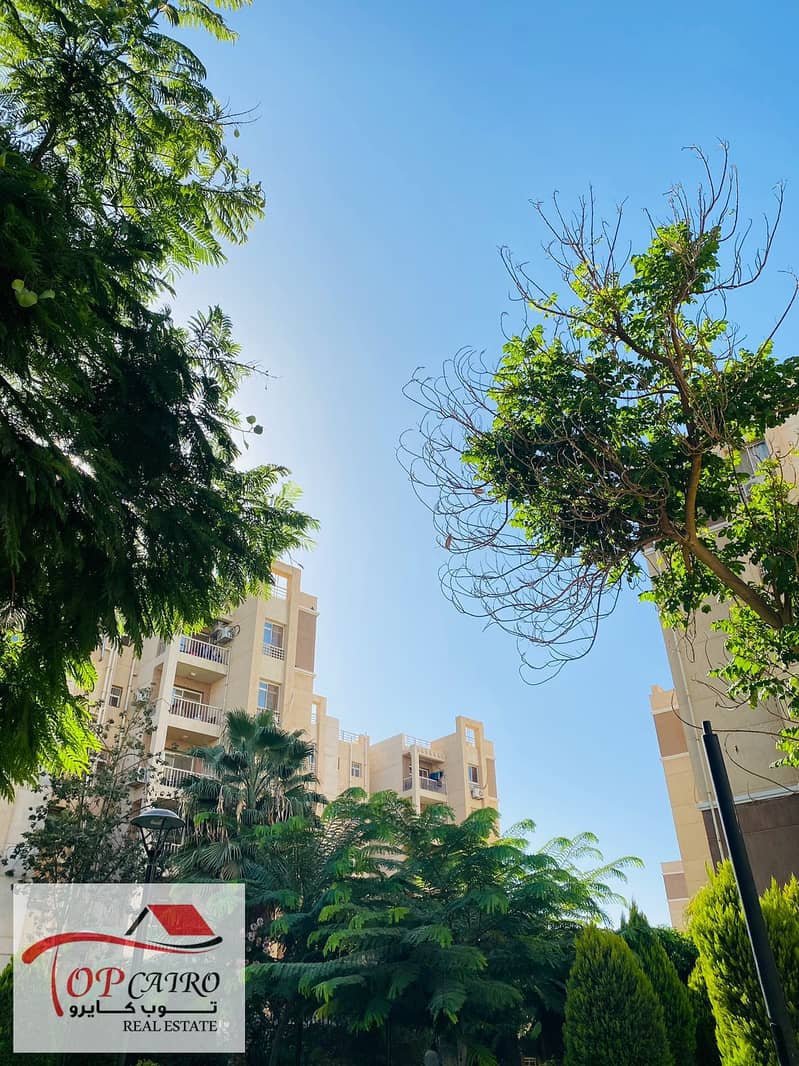 11 IMG-20251106-WA0242. jpg