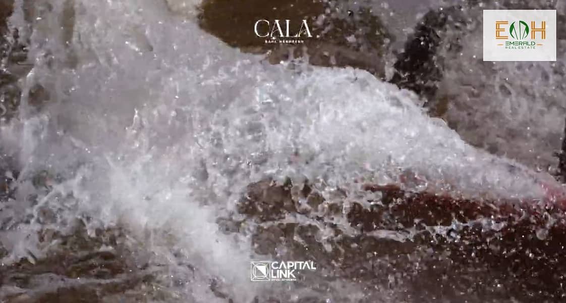 16 Screenshot (247). png