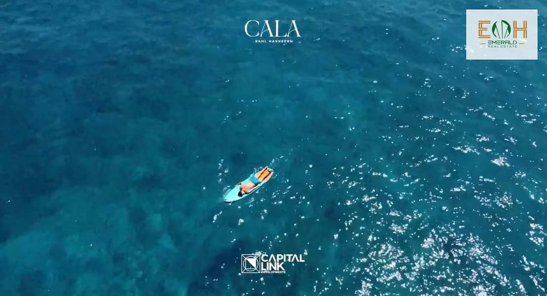 17 Screenshot (250). png