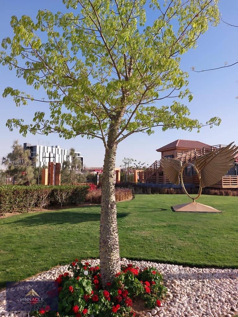 2 هايد بارك 2. jpg