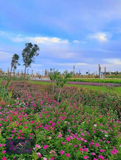 5 Screenshot 2025-08-09 183355. png