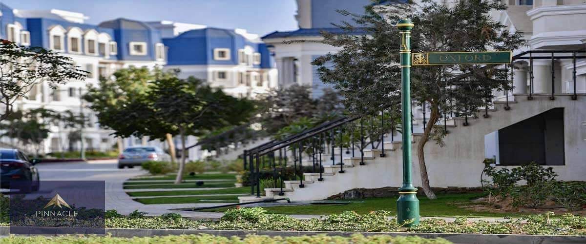 5 photo_2025-11-06_19-35-07. jpg