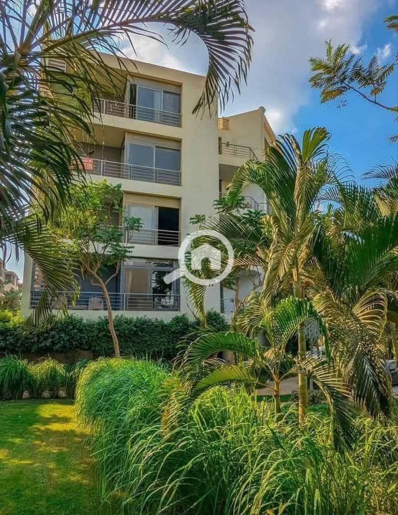 2 FB_IMG_1762449298672. jpg