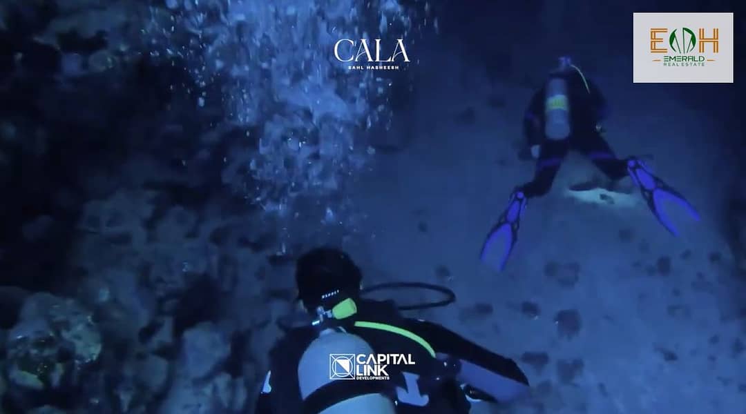 18 Screenshot (243). png