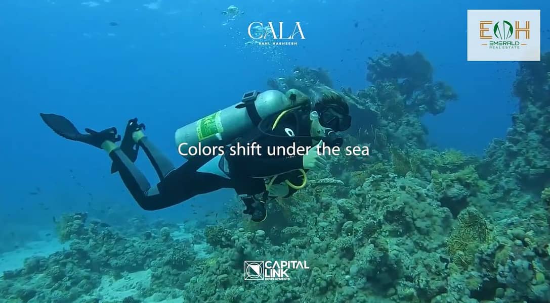 19 Screenshot (245). png