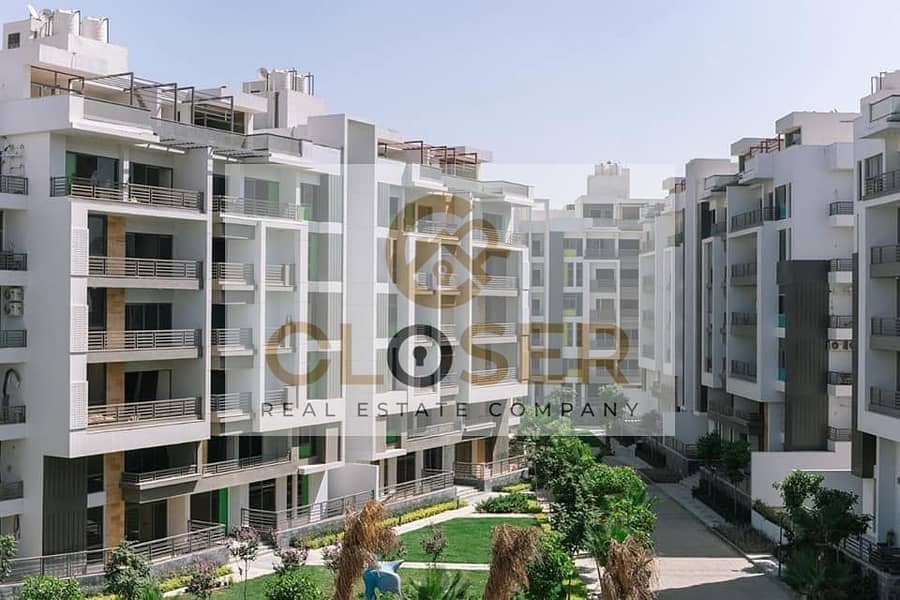 8 462287155_1195874221498766_7058993073813879892_n. jpg