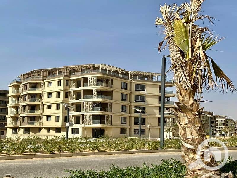 13 439840357_1109605543579978_7034835457191709983_n. jpg