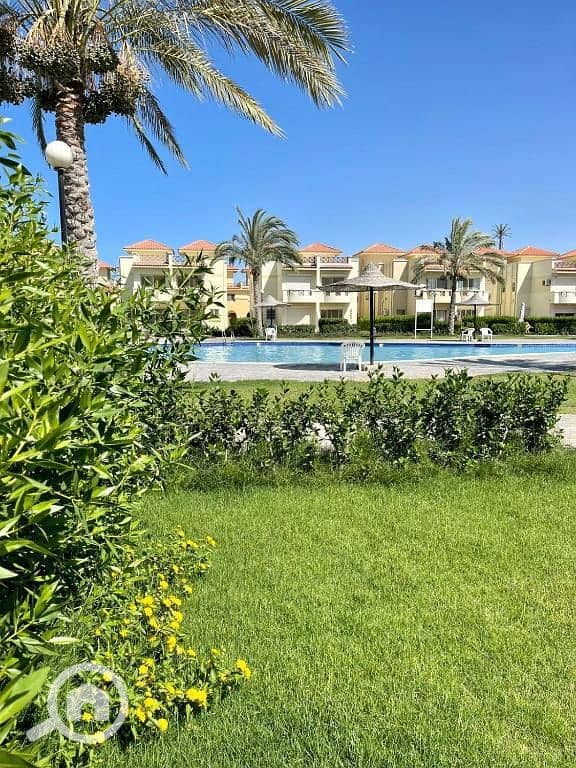 043ed668-5d9f-4e25-abfc-72e2f6b8acfe. jpg 043ed668-5d9f-4e25-abfc-72e2f6b8acfe. jpg