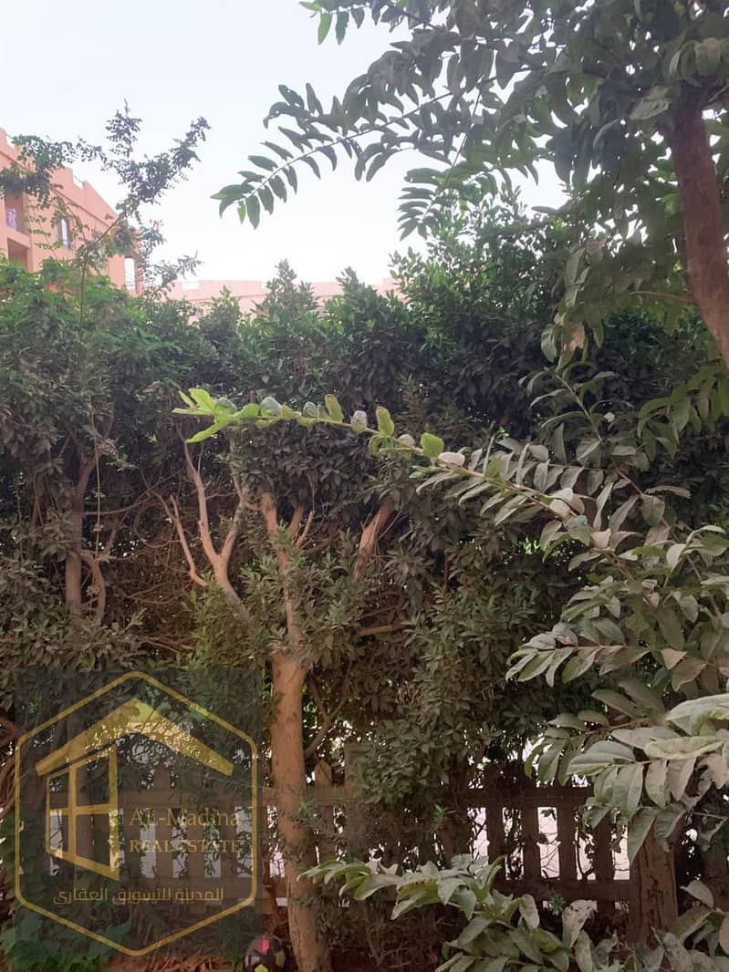 6 18f5f5d7-15a1-4346-a8cb-4c2d47e42ede. jpg