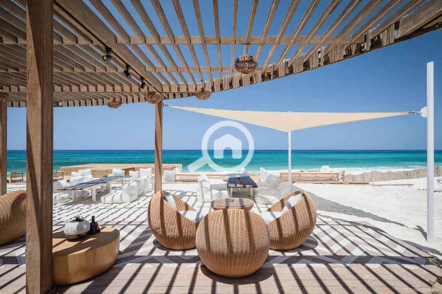 10 photo_2025-02-19_20-50-57. jpg