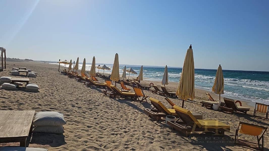 3 WhatsApp Image 2025-11-04 at 15.13. 44_f05b24cc. jpg