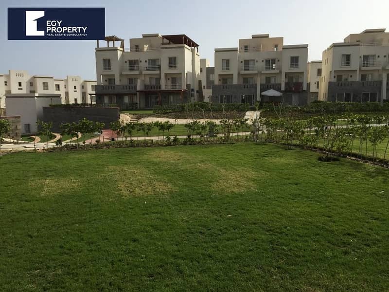 2 _files_WhatsApp Image 2024-07-16 at 13.22. 39_1778187a. jpg