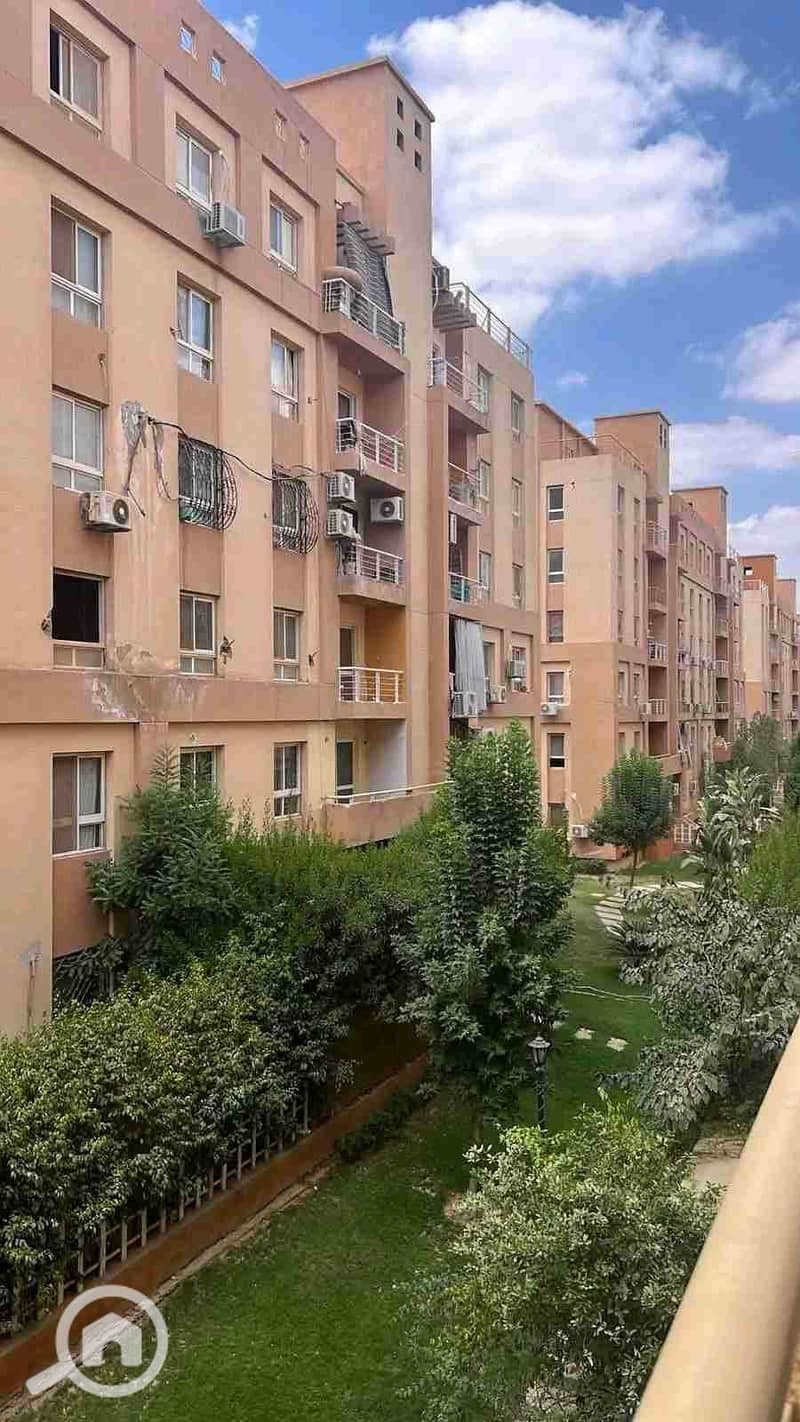 1762459075971. jpg 1762459075971. jpg