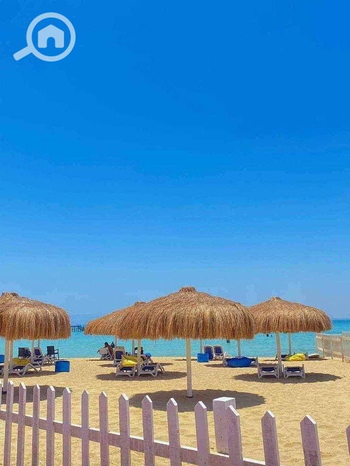 5 484286828_1700529714009262_5233786222014625013_n. jpg