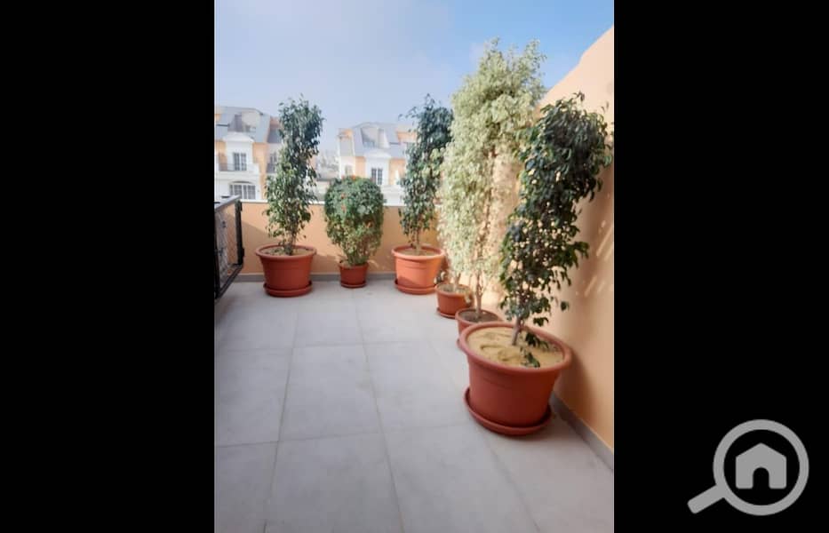 6 WhatsApp Image 2025-05-02 at 13.49. 17_90c044a0. jpg