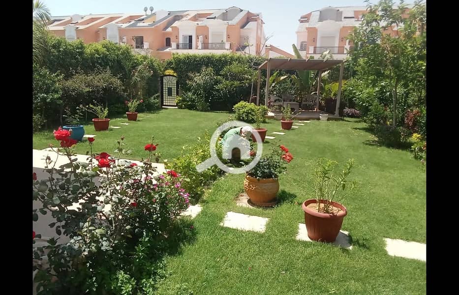 7 WhatsApp Image 2025-05-02 at 13.49. 17_f6cda3c1. jpg