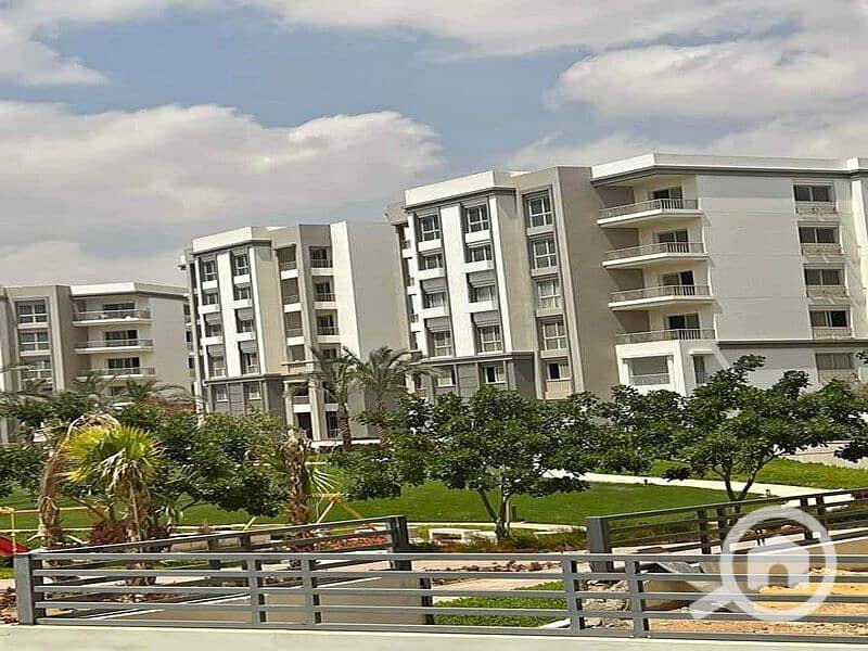 6 359730858_10224511903804923_7258162719788611159_n. jpg