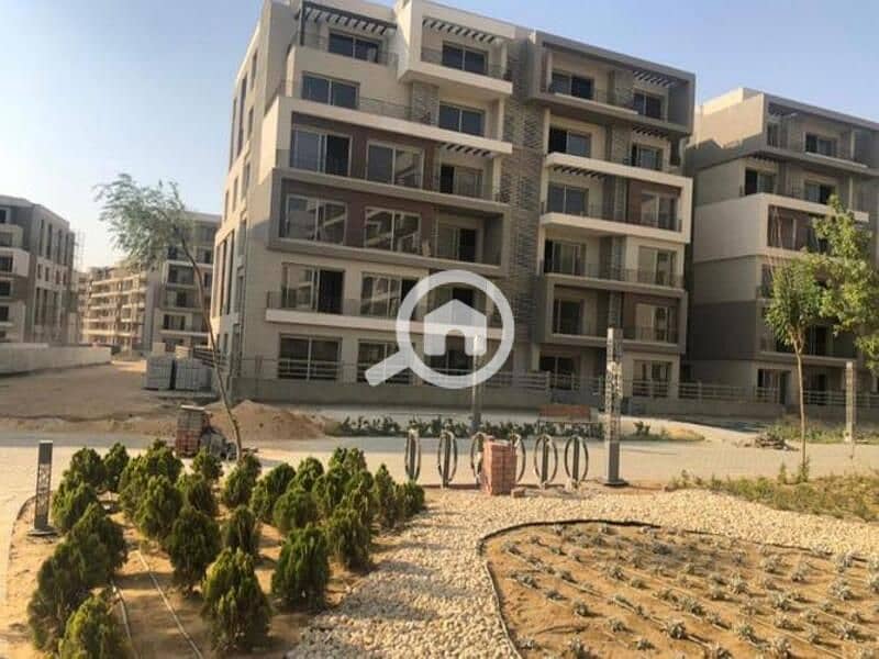 5 WhatsApp Image 2025-11-06 at 15.12. 28_e37a4fed. jpg