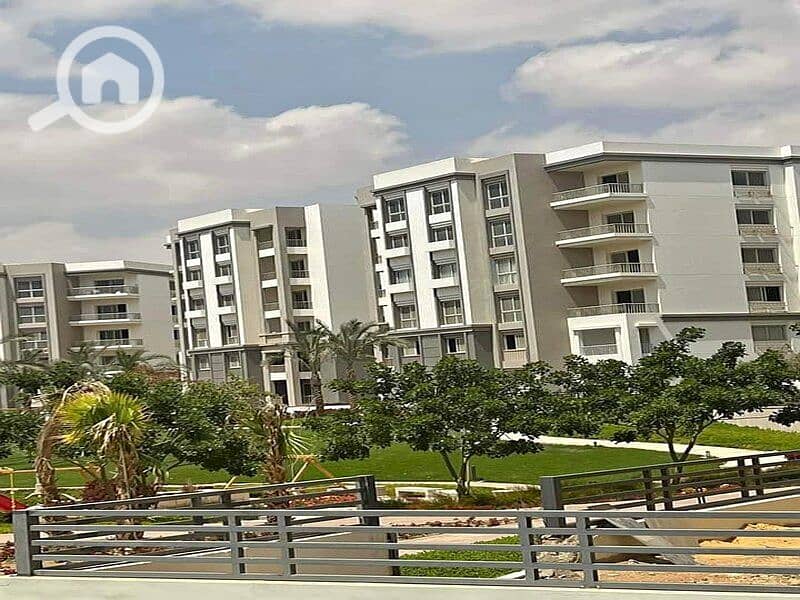 9 359730858_10224511903804923_7258162719788611159_n. jpg