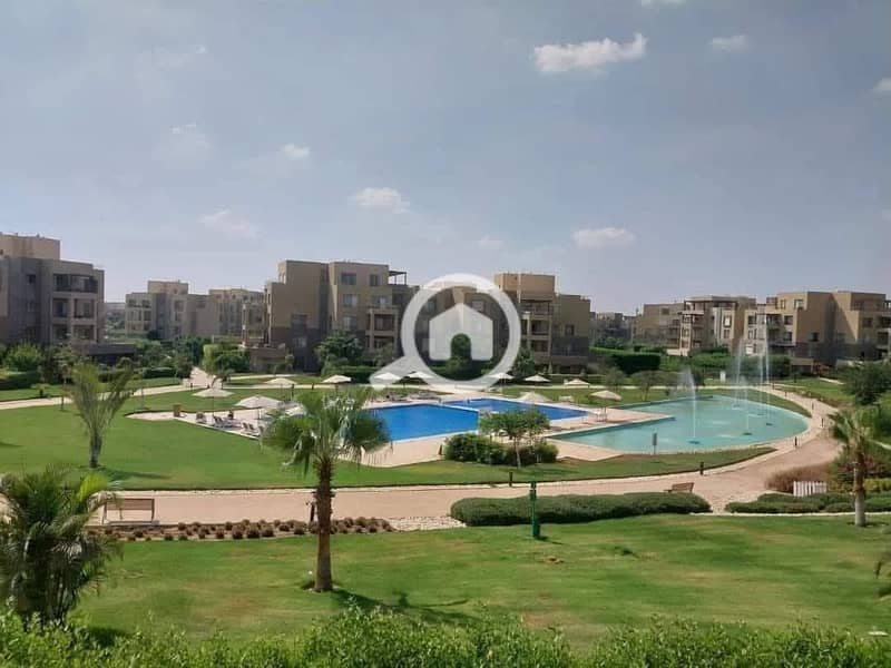 7 1788ddca-de39-49ad-9028-7ea6222169a9. jpg