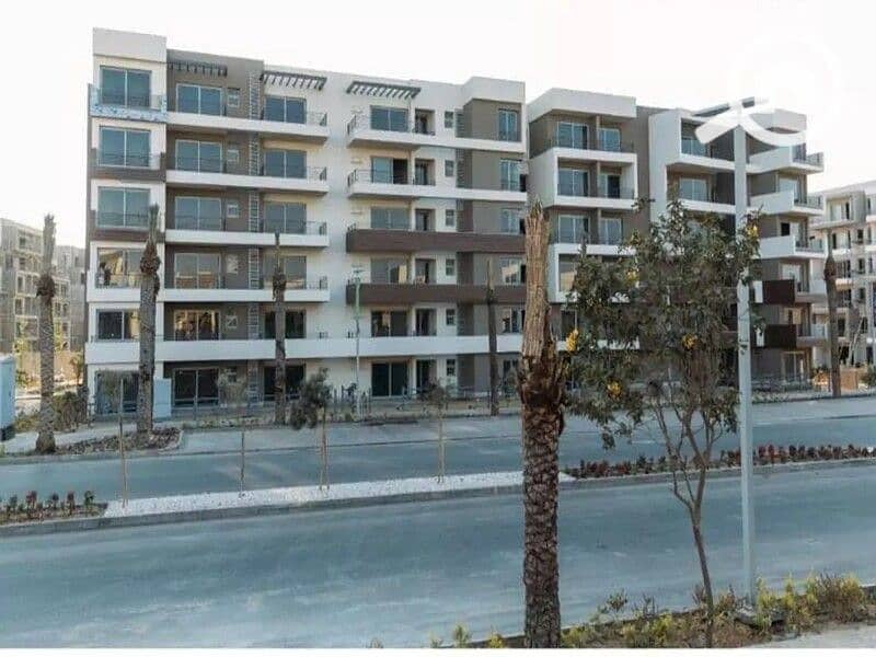 5 WhatsApp Image 2025-11-06 at 15.12. 27_a458fa0b. jpg