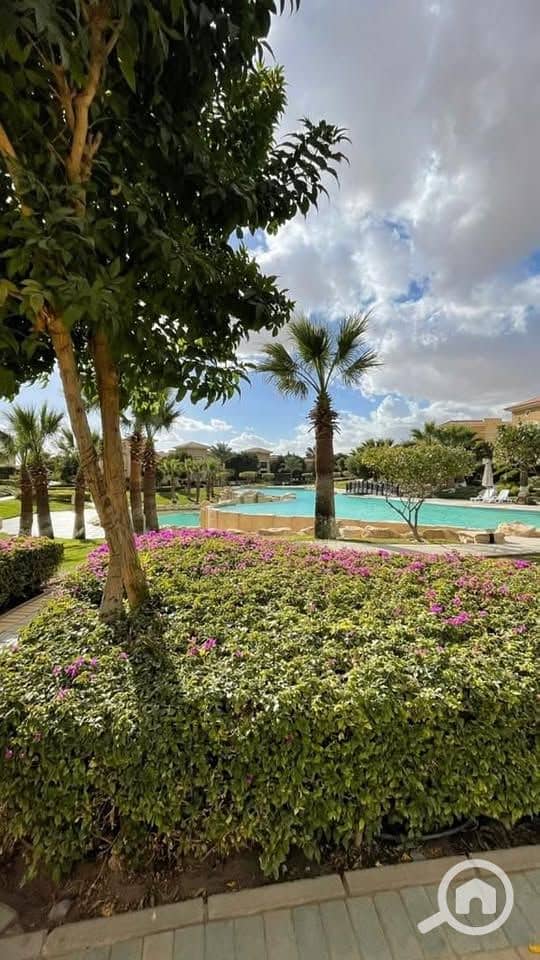 6 473216753_1773434670073250_6428153880575751590_n. jpg