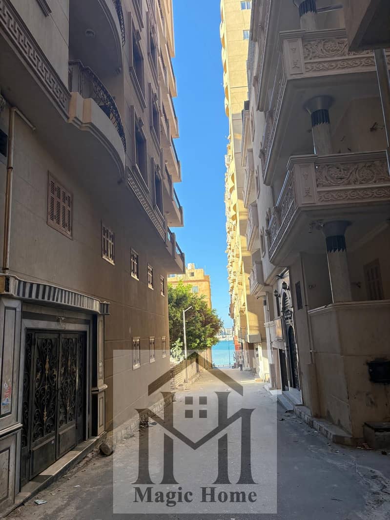 9 ca1c9975-7bc0-43e1-af2d-00441c357eaa. jpg