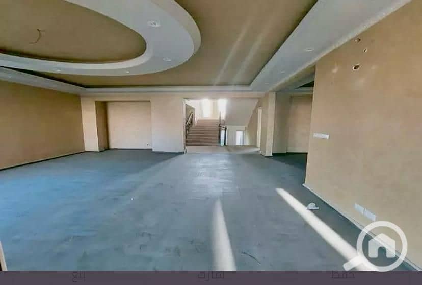 8 WhatsApp Image 2025-02-27 at 14.14. 22_3625223c. jpg