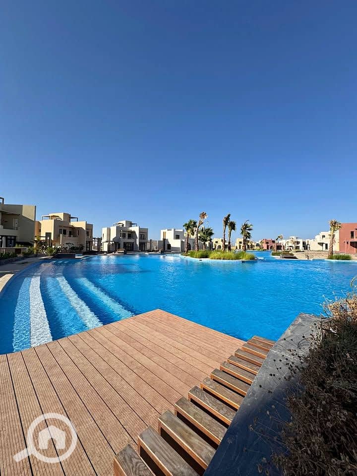 6 574052004_25197830046515219_1861539309484075965_n. jpg