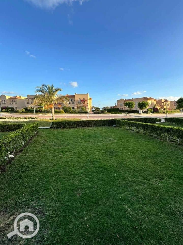 5 565373443_4150655611917404_4897900072490794210_n. jpg