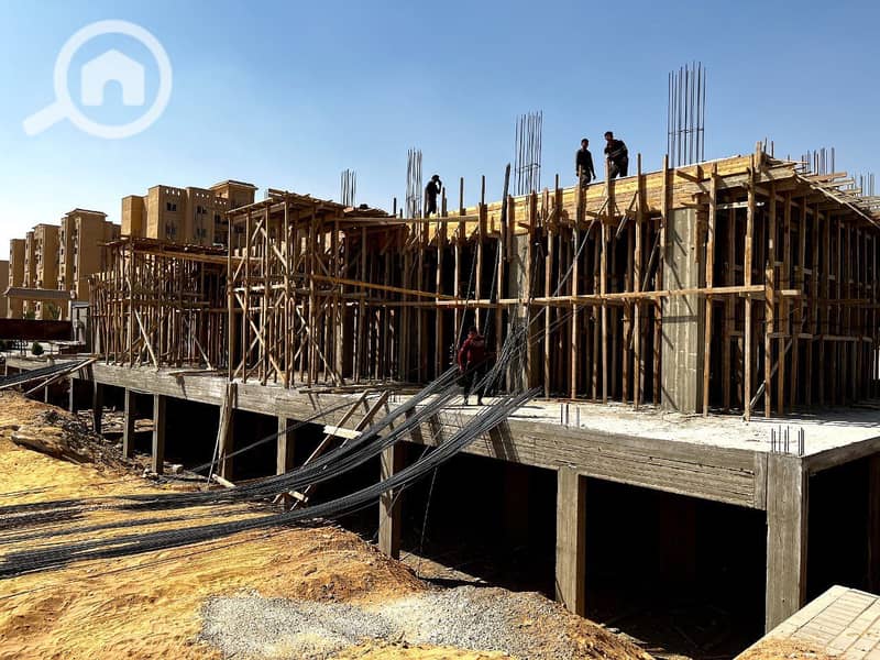 6 october gardens (5). jpg