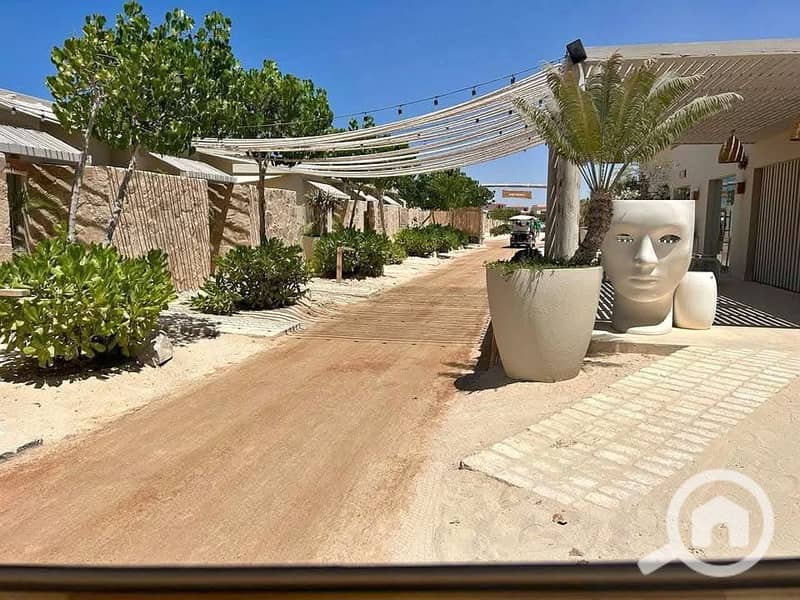 4 546620071_647982818357838_260139709597835289_n. jpg