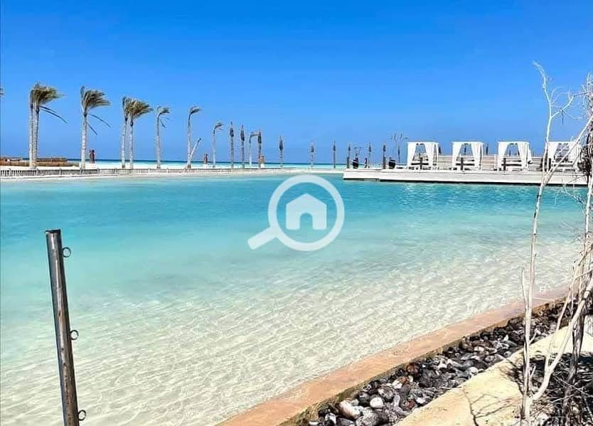 5 567521096_1147887130820173_4904136718584703885_n. jpg