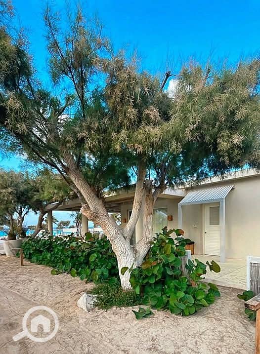 7 571253197_1618341376213667_4501258812631180299_n. jpg