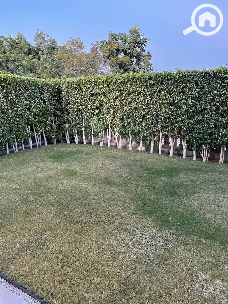 5 tempImager7hYyd. jpg