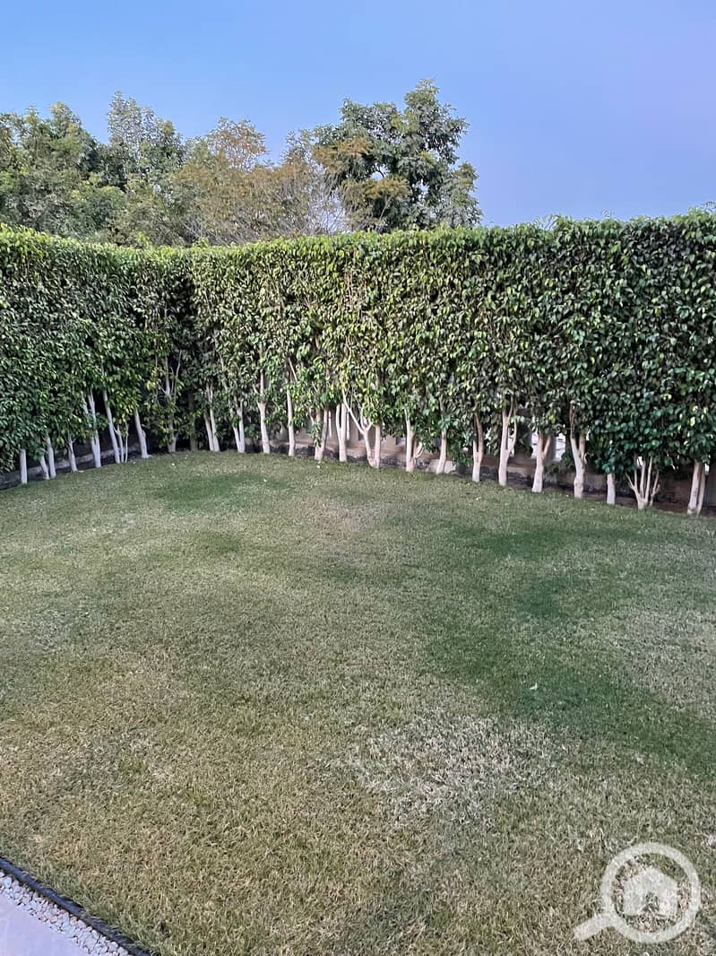 4 tempImager7hYyd. jpg