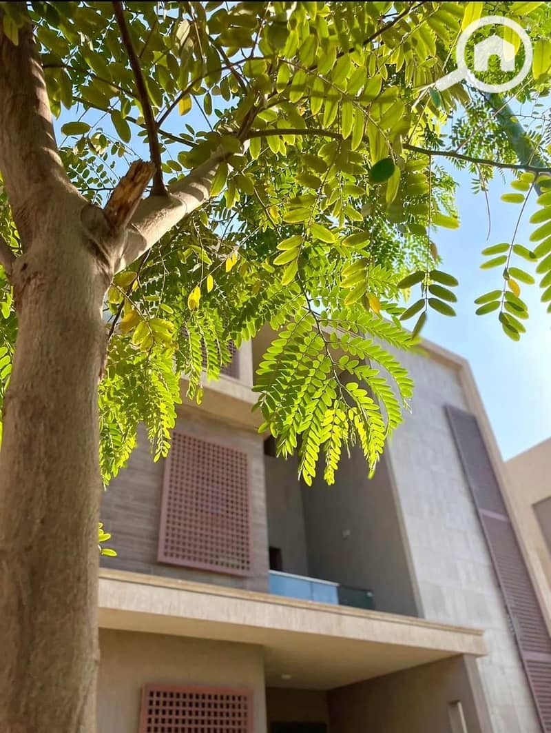 4 IMG-20250622-WA0257. jpg