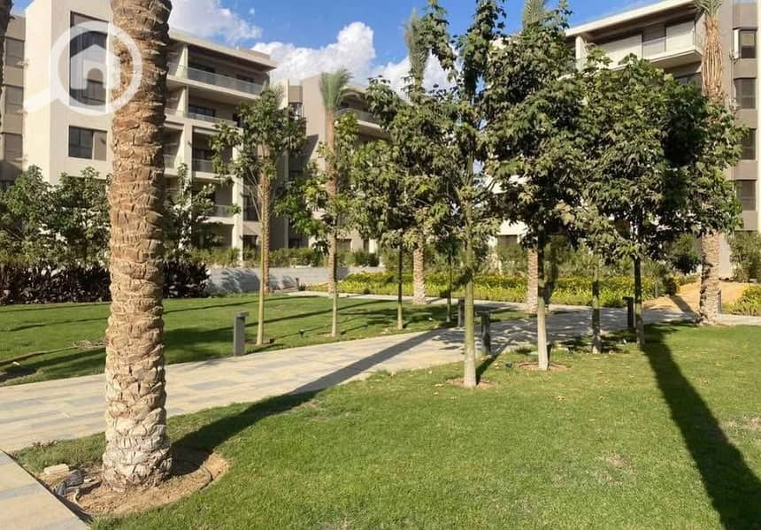 6 574889334_4324411831129282_6442949148013579195_n. jpg