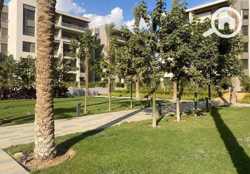 5 574889334_4324411831129282_6442949148013579195_n. jpg