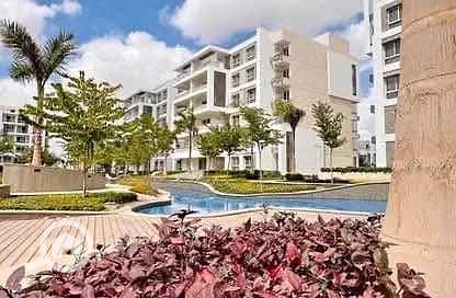 10 557453977_122194866644287037_8317360545790669816_n. jpg