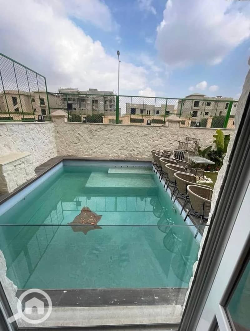 5 photo_2025-03-17_00-12-31. jpg