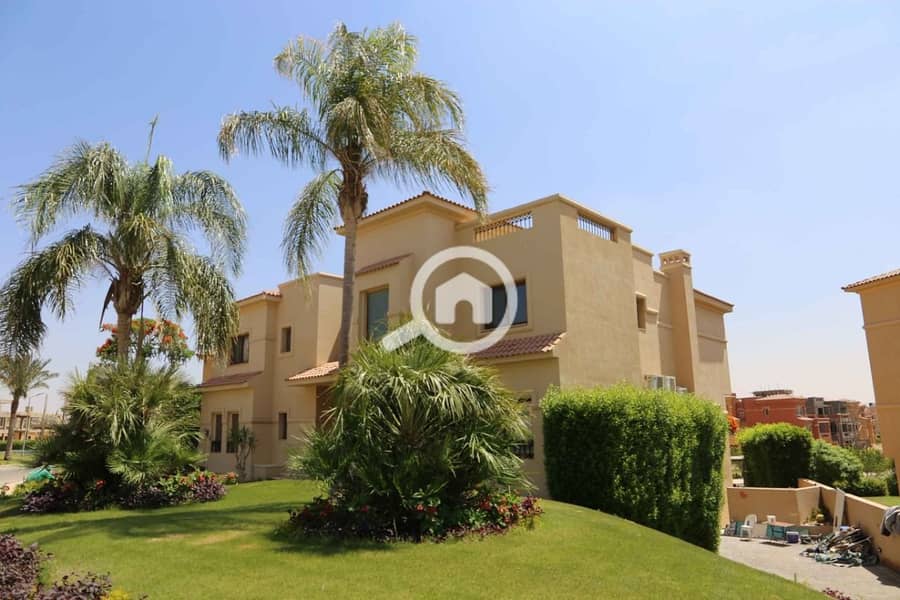 7 photo_2025-03-17_00-05-42. jpg