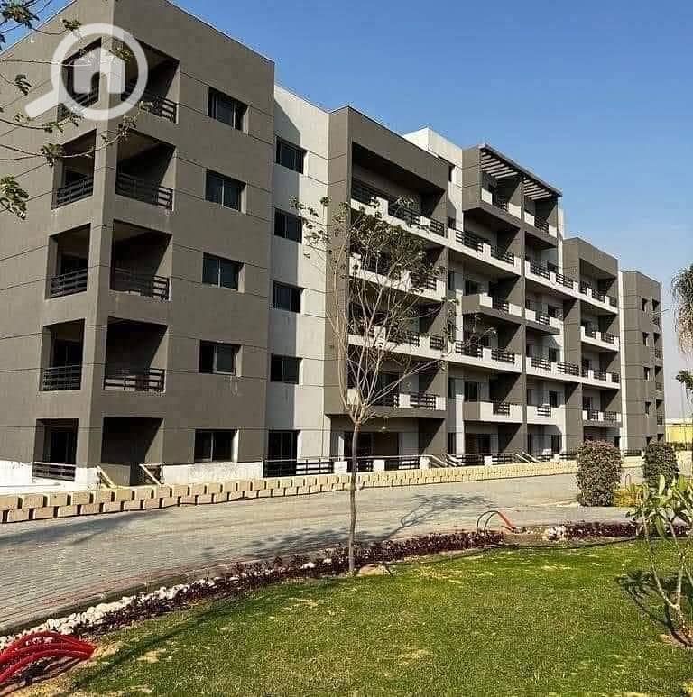 4 570194978_4051190781811186_8032628517673709278_n. jpg