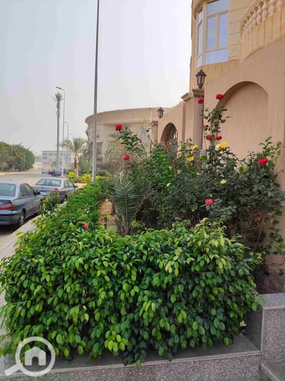 شقة 3 غرف نوم للبيع في القاهرة الجديدة، القاهرة - 148783. jpg شقة 3 غرف نوم للبيع في القاهرة الجديدة، القاهرة - 148783. jpg