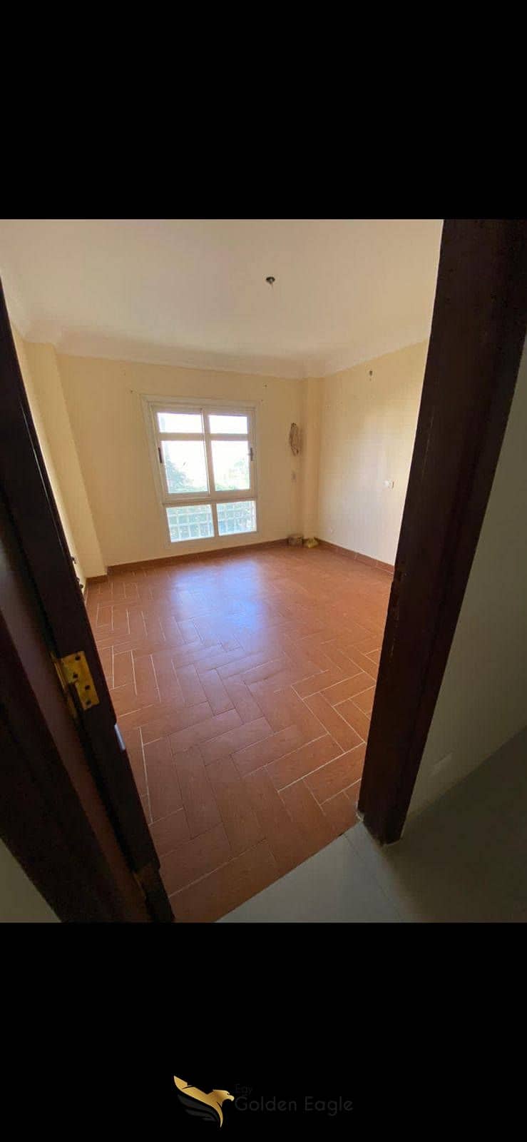 4 574882539_1503582380872289_7178039595580414176_n. jpg