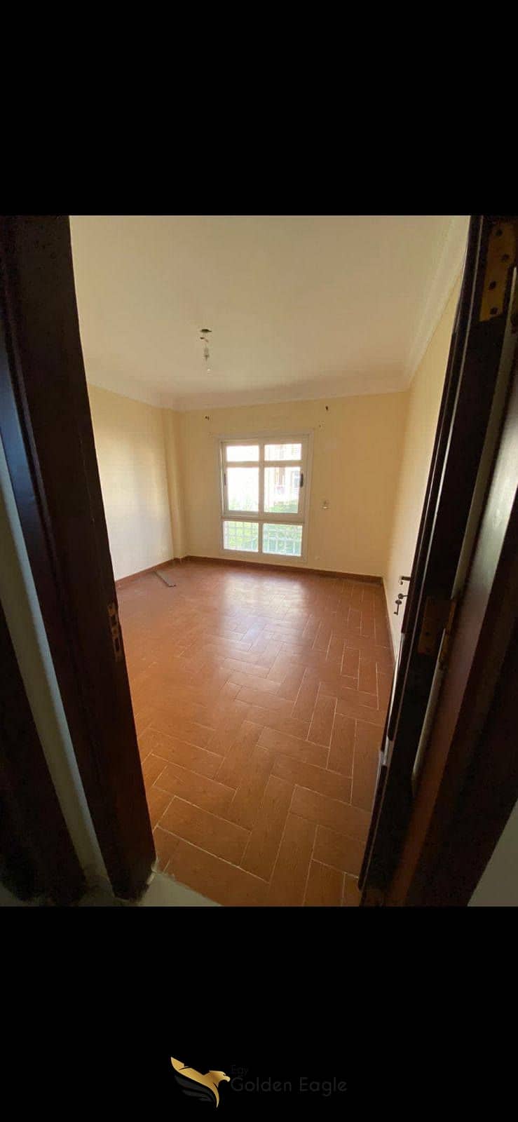 9 576553036_1503582257538968_7320255826851990583_n. jpg