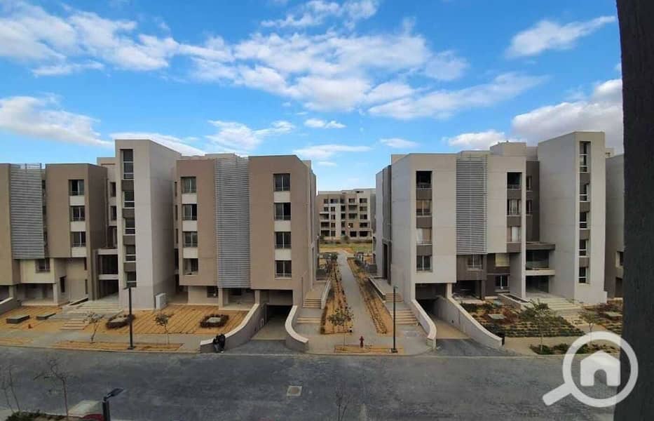 7 WhatsApp Image 2025-11-07 at 01.29. 26_274c7190. jpg